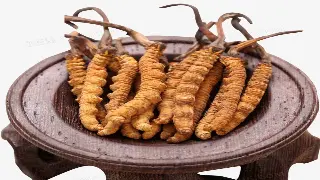 重庆按摩名店“寻宝”攻略：告别千篇一律，解锁你的专属放松秘境！