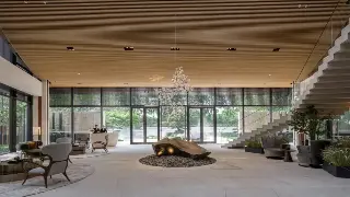 独家按摩手法揭秘：告别肩颈僵硬，解锁全身舒爽的秘诀！